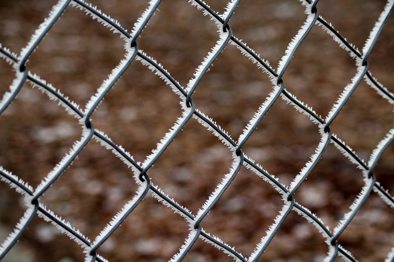 fencing, winter, frost